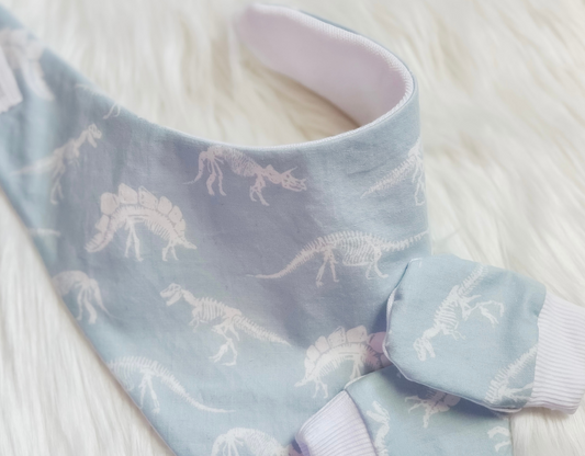 Dinosaur Bandana Bib and No Scratch Hand Mittens