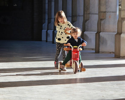 Evolutive Baby’s First Tricycle