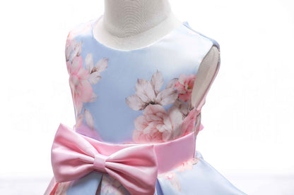 Princess Tutu Dress Formal Dress