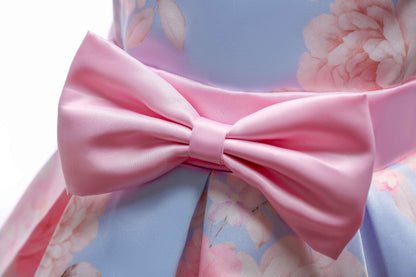Princess Tutu Dress Formal Dress