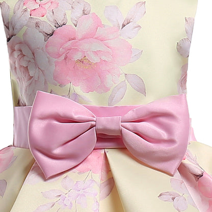 Princess Tutu Dress Formal Dress