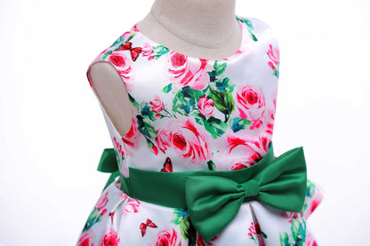 Princess Tutu Dress Formal Dress
