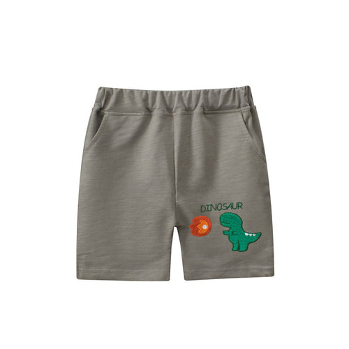 Dinosaur Color Summer Shorts