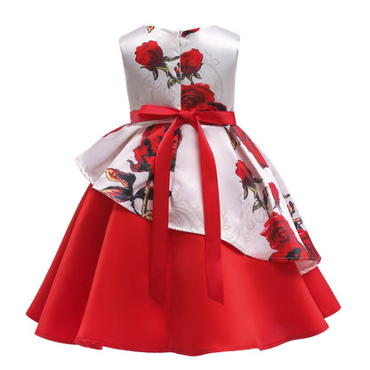 Princess Tutu Dress Formal Dress